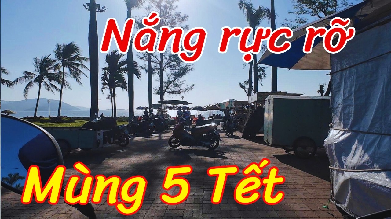 Ngày nắng đẹp mùng 5 Tết ở Quy Nhơn đường Đô Đốc Bảo #Tet