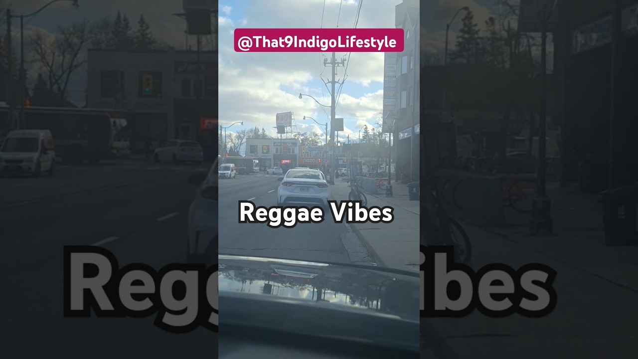 Reggae Vibes 