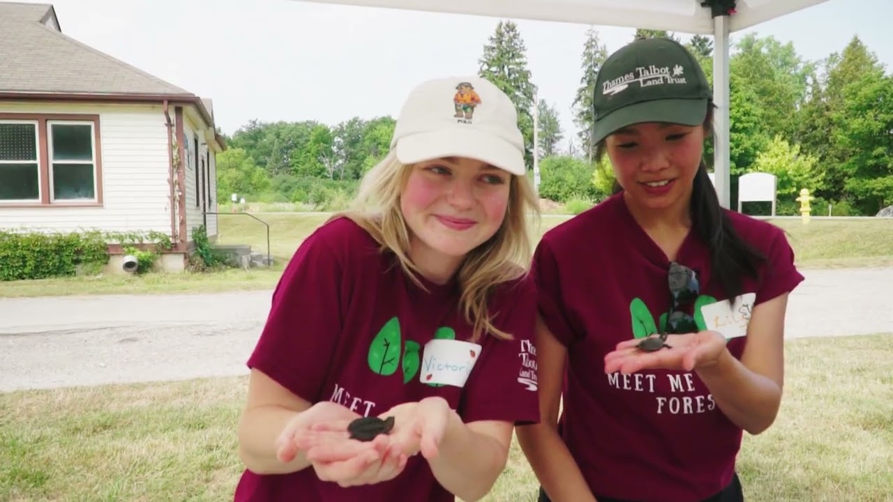 Happy Habitats Festival | Thames Talbot Land Trust - Environmental Action Incubator 2025