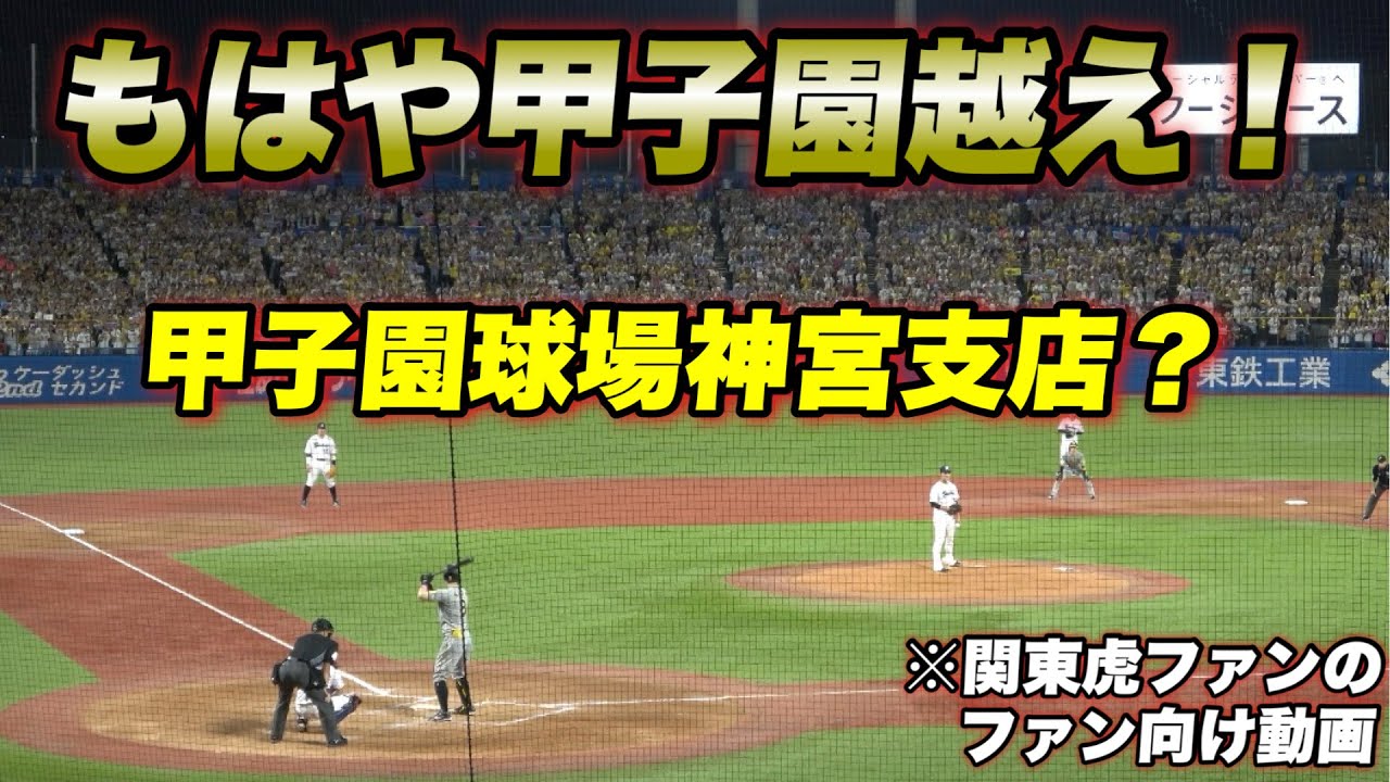 【神宮をジャック！！関東の虎党の声量 熱量がヤバすぎる！！チャンス応援時のレフトスタンド！】阪神対ヤクルト