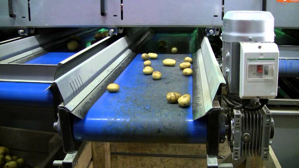 Roslunds Potatis