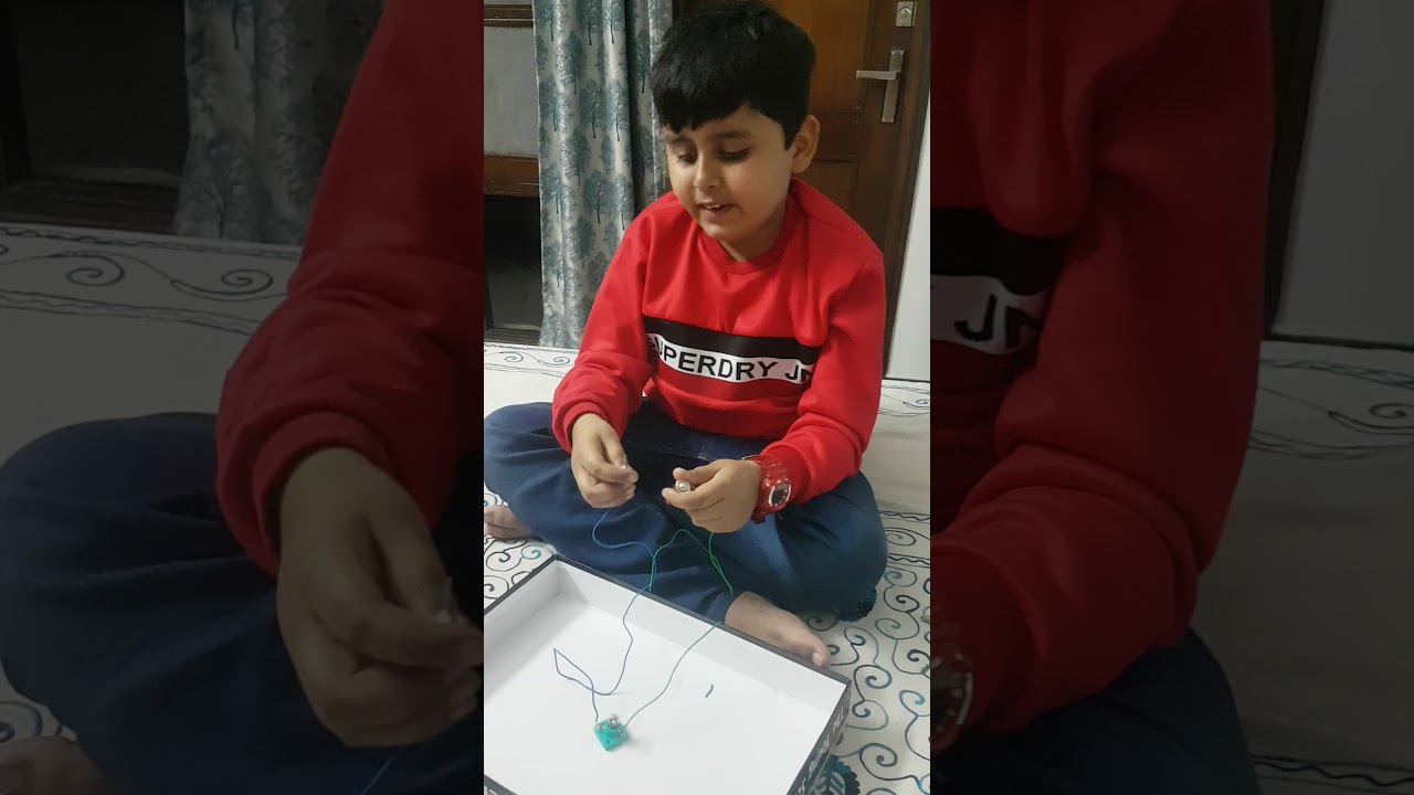 The young scientist