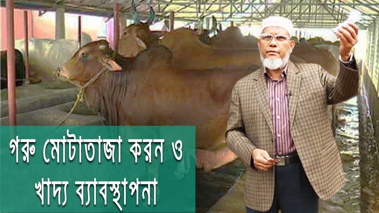 ডাঃ নুরুল আমিন স্যারের গরু মোটাতাজা করন ও খাদ্য ব্যাবস্থাপনা সম্পর্কে প্রশিক্ষণ
