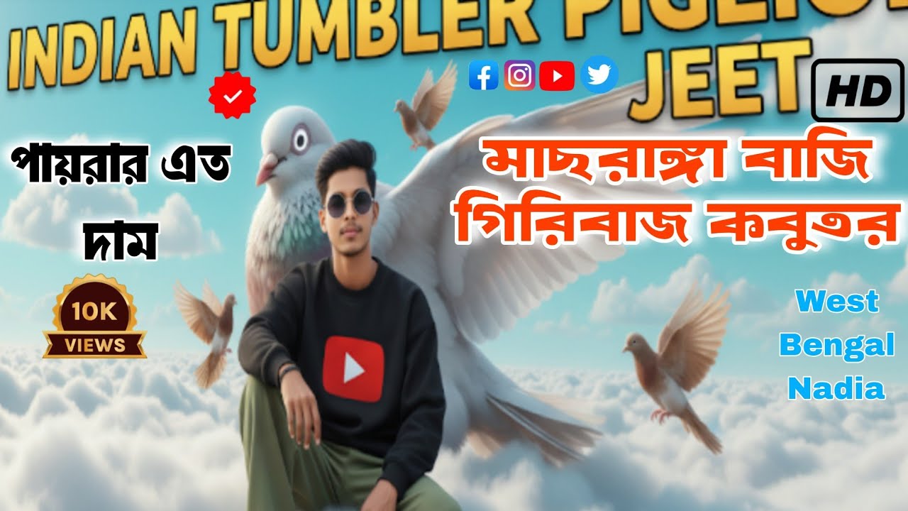 🔥মাছরাঙ্গা বাজি গিরিবাজ পায়রার এত দাম 🤩😱🤩