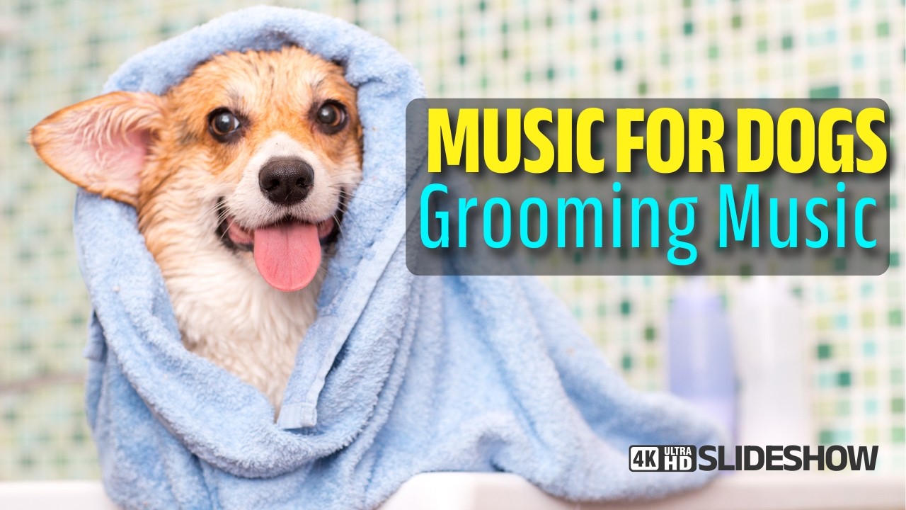 Dog Grooming Music 741 Hz ✨ Relaxing Music to Calm Anxious Dogs during Grooming