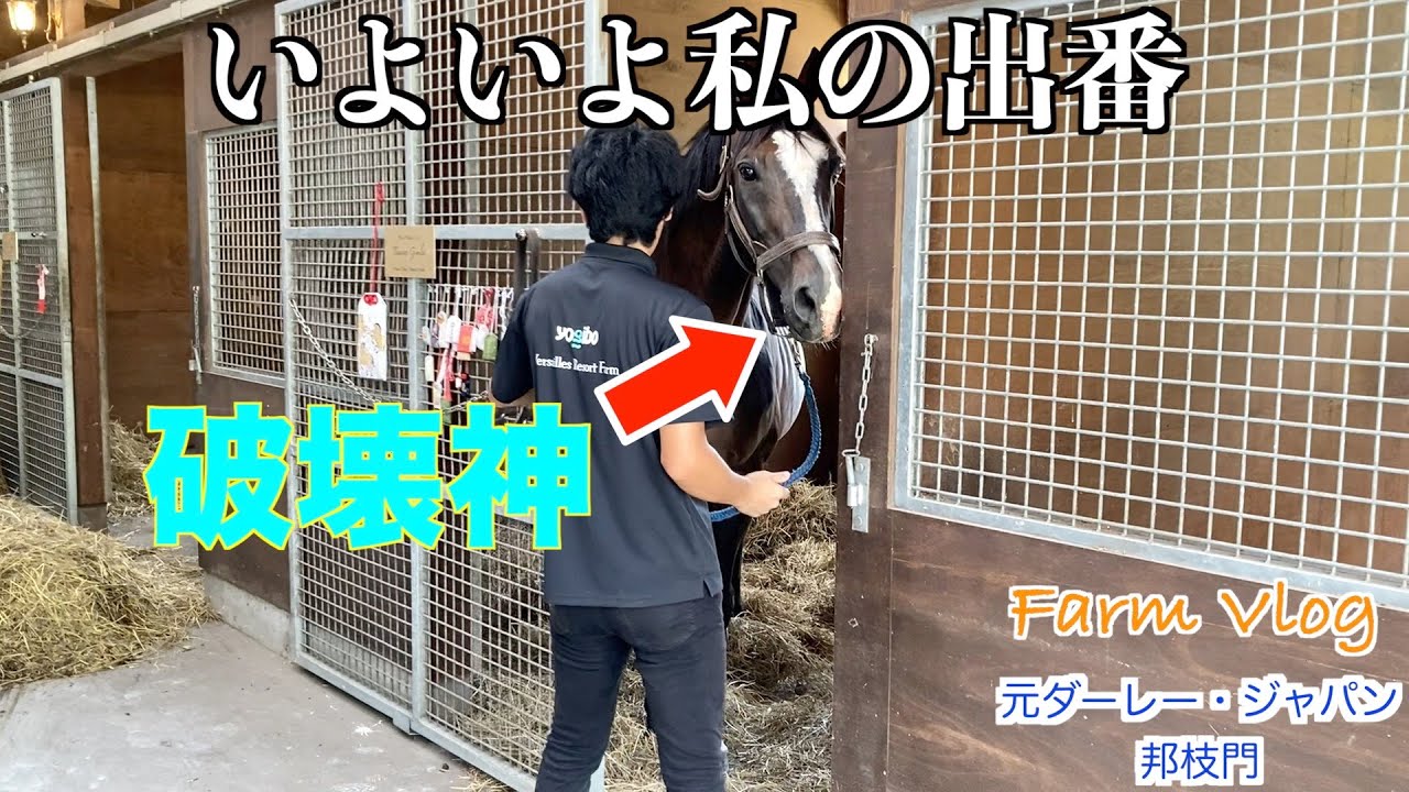 破壊神【タニノギムレット】いよいよ私の出番！？50選