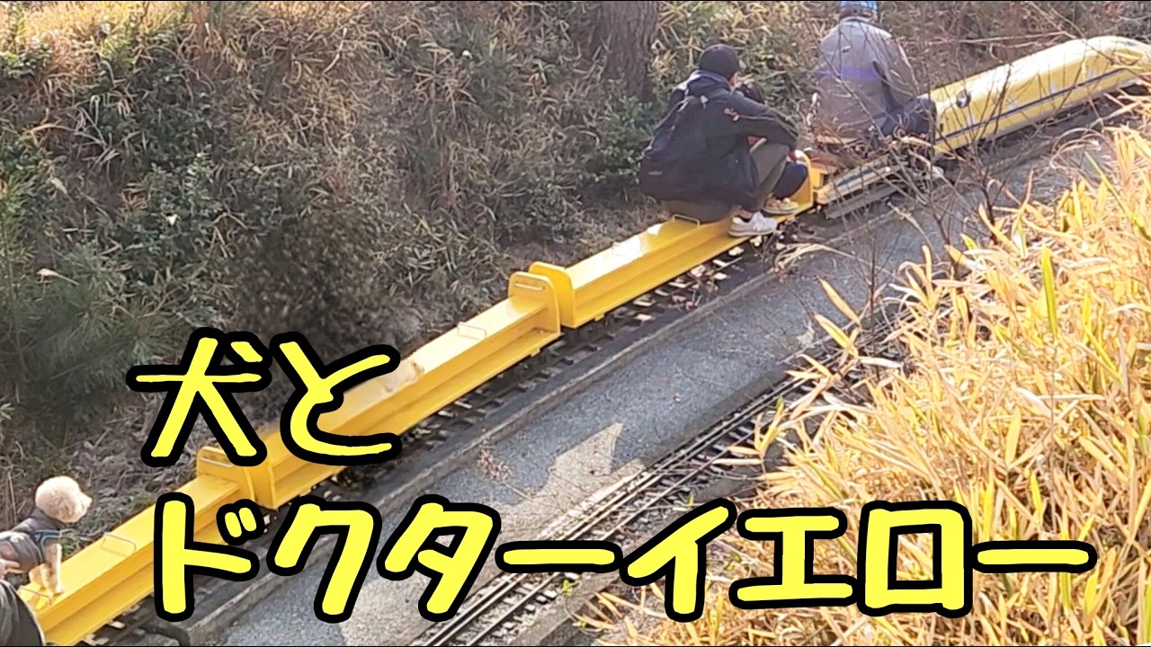 【犬とお出かけ】楽しすぎる！道の駅🐶ビショプーのポノ