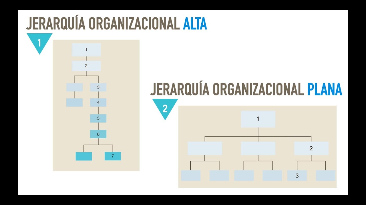 Estructura y cultura organizacional