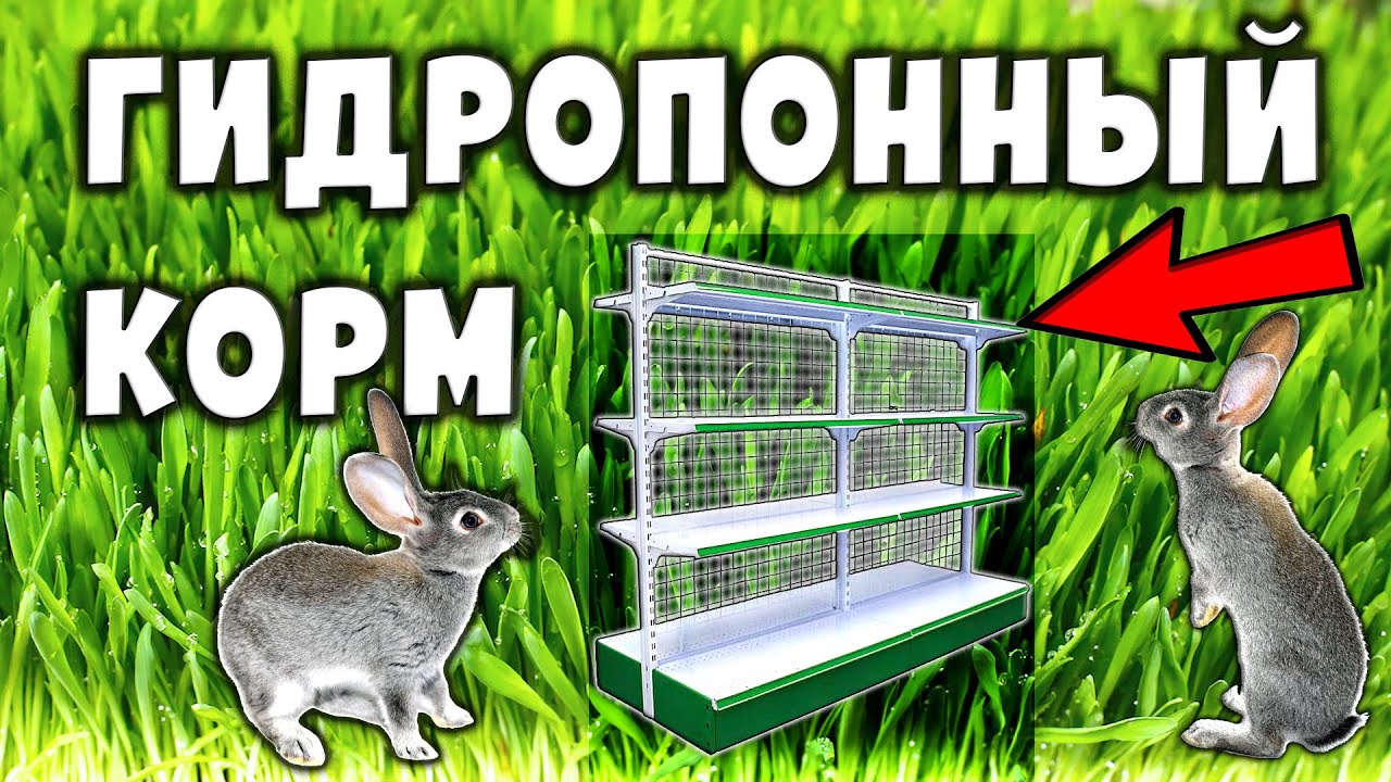 ГЗК установка своими руками / Гидропоника для кроликов