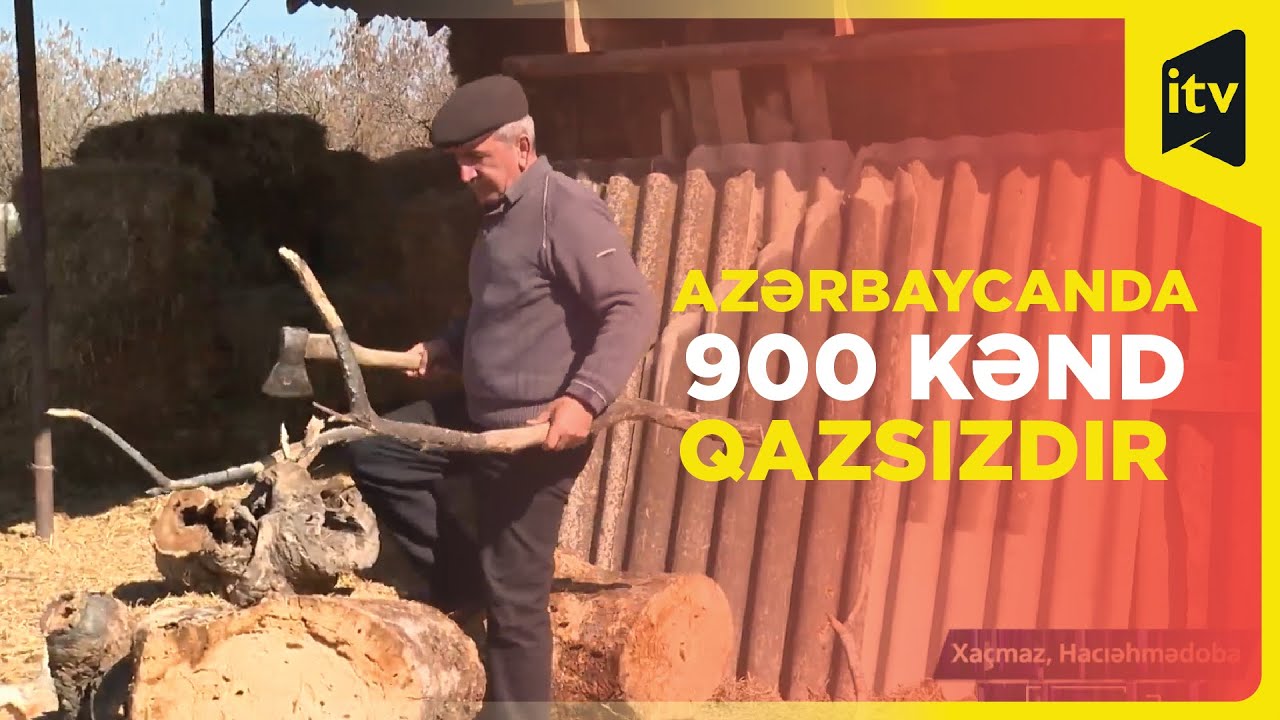 Qaz yoxdur, meyvə ağaclarını kəsib qızınırlar