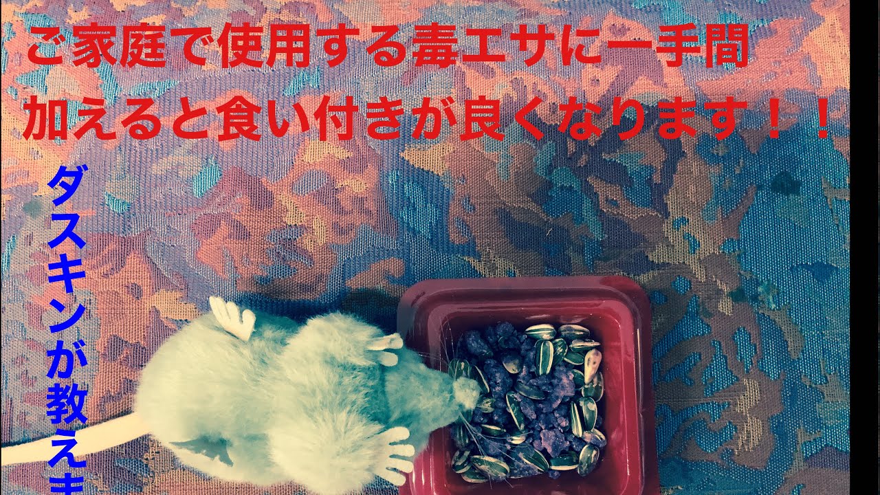 ご家庭〜ネズミの毒エサを一手間加えて食べさせよう！！