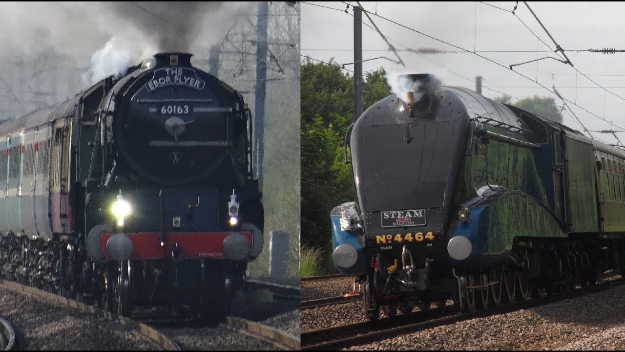 4464 Bittern vs 60163 Tornado 90mph runs comparison