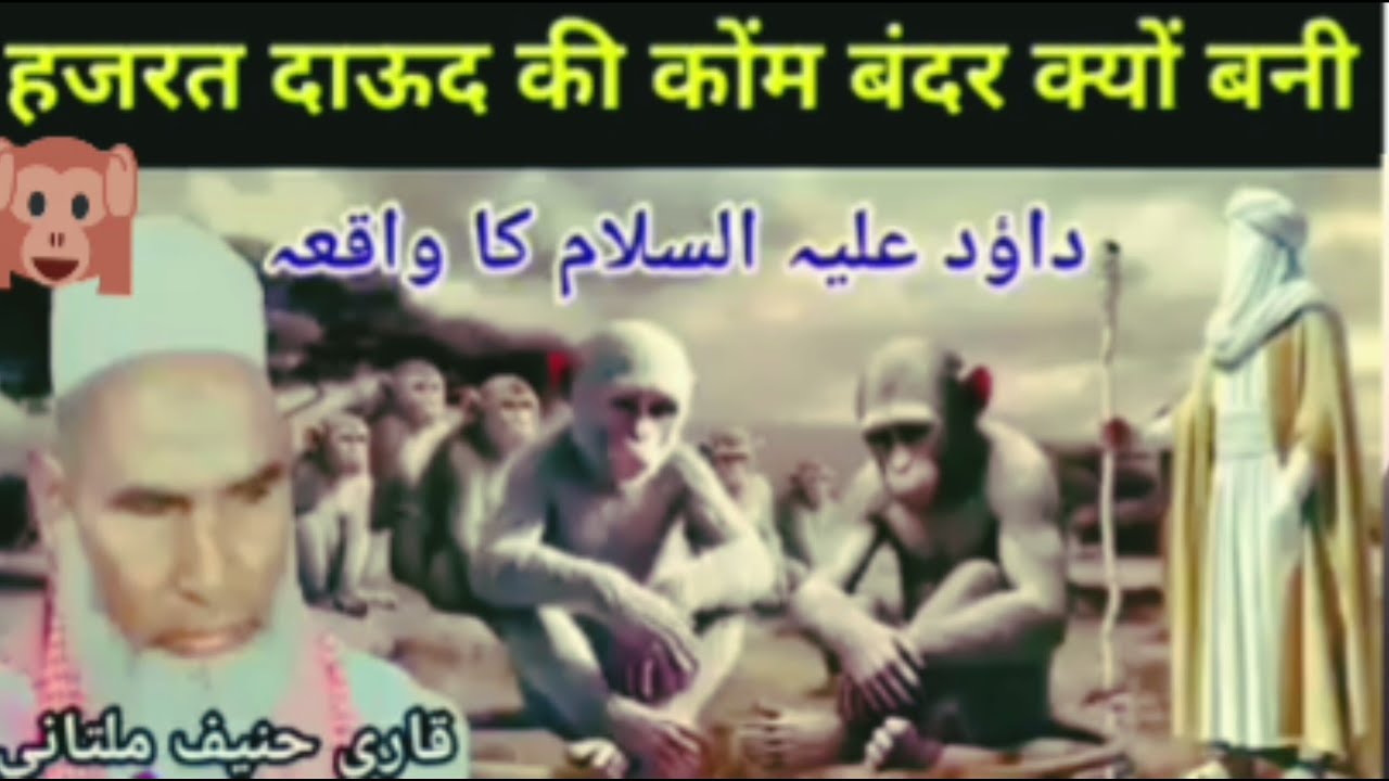 हज़रत दाऊद की कोम बन्दर क्यों बनी हजरत दाऊद अलैहिअस्सलाम का वाक्या हजरत कारी हनीफ मुल्तानी बयान 