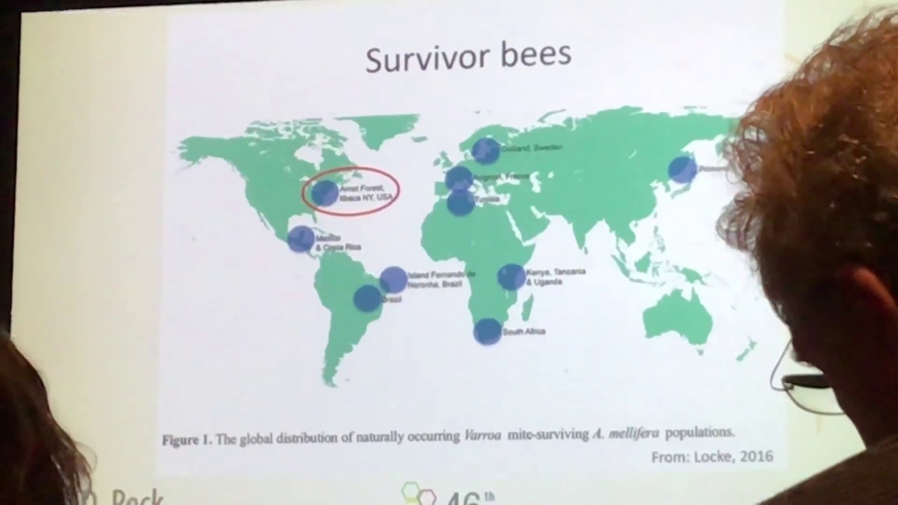 Naturally Selected Varroa-Resistance Behaviors in Unmanaged Survivor Bees - David Peck