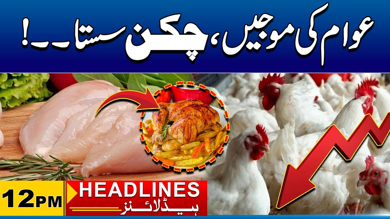 Chicken Prices Drop! | 12PM News Headlines | 26 Feb 2026 | City41