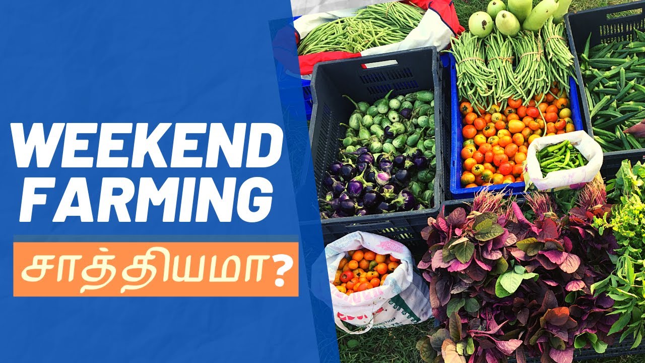 Weekend farming சாத்தியமா?