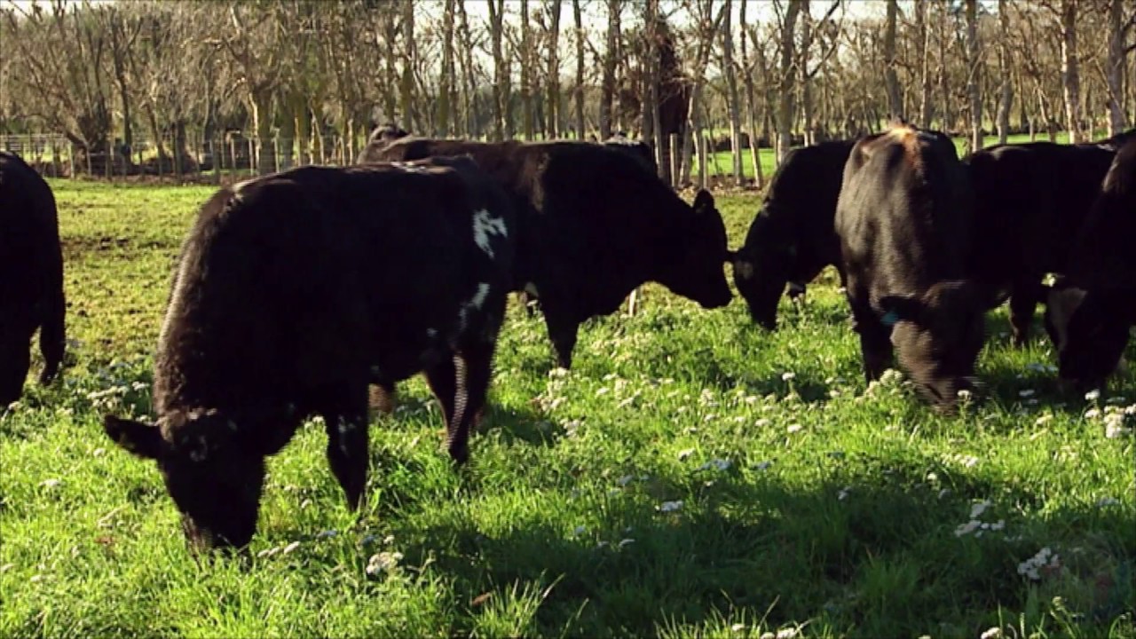 AgResearch Centre for Reproduction