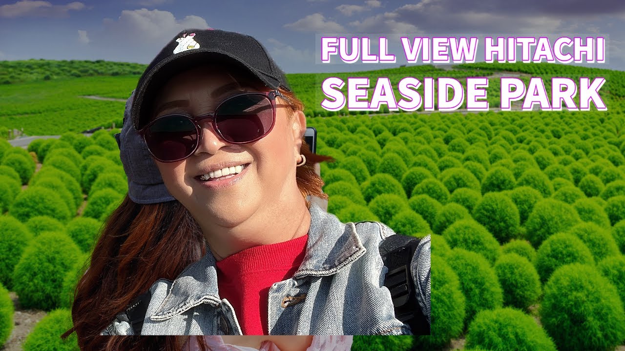 Hitachi seaside Park whole view Part2
