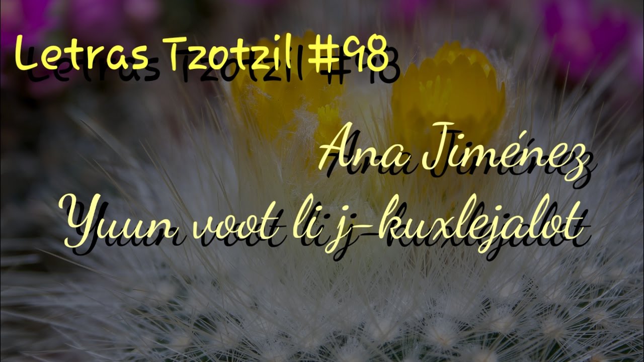 Ana Jimenez - Cajval yuun j-k'anojot / Letras Tzotzil #98