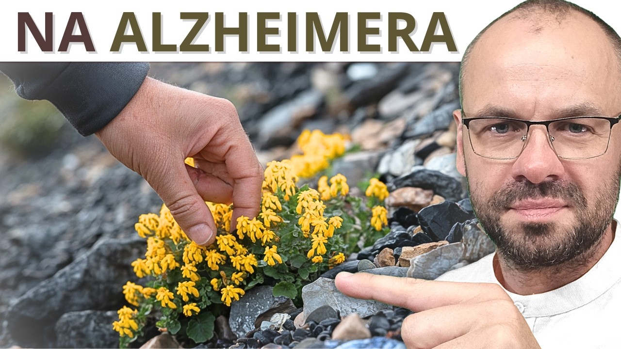 Zioło, które hamuje ALZHEIMERA – masz je w ogrodzie.
