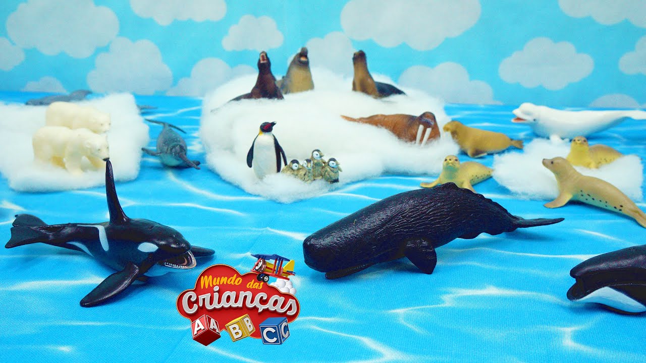 Animais Marinhos Brincando na Água e no Gelo