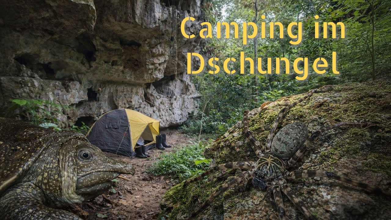 Kalimantan (Borneo), Indonesien: Teil 8 - Camping im Dschungel, Höhlenmalereien und Fischfang