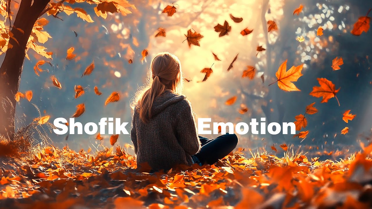 Relaxing Hang Drum Mix 🎧 Enigmatic 🎧 Shofik-Emotion