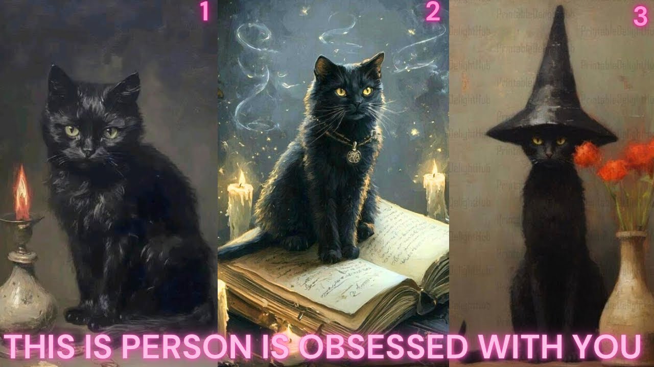 👀Who is secretly obsessed with you?😻Hindi Pick A Card🪬