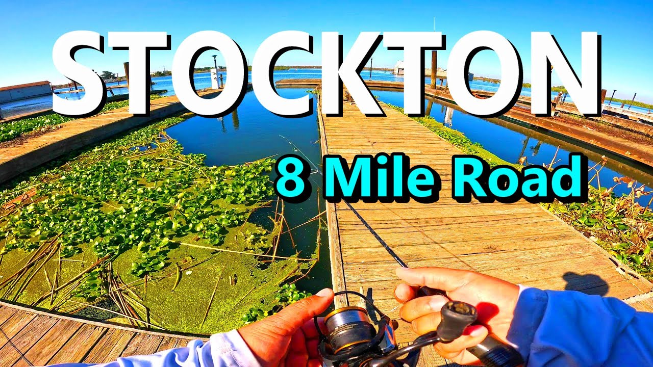 Bank  & Dock Fishing Stockton's 8 MILE ROAD