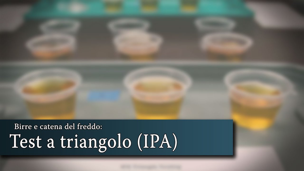 La birra va conservata in frigorifero? Un test a triangolo con una American IPA | SKÅL!