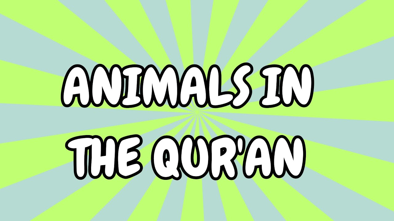 Every Animal Mentioned in the Qur’an (Full List) 👀