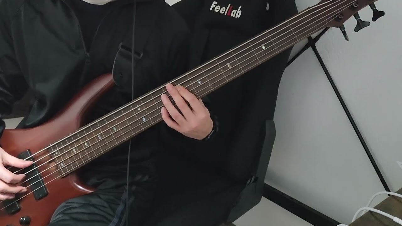 【Full】Beyond Creation - Omnipresent Perception (Fretless Bass Cover)