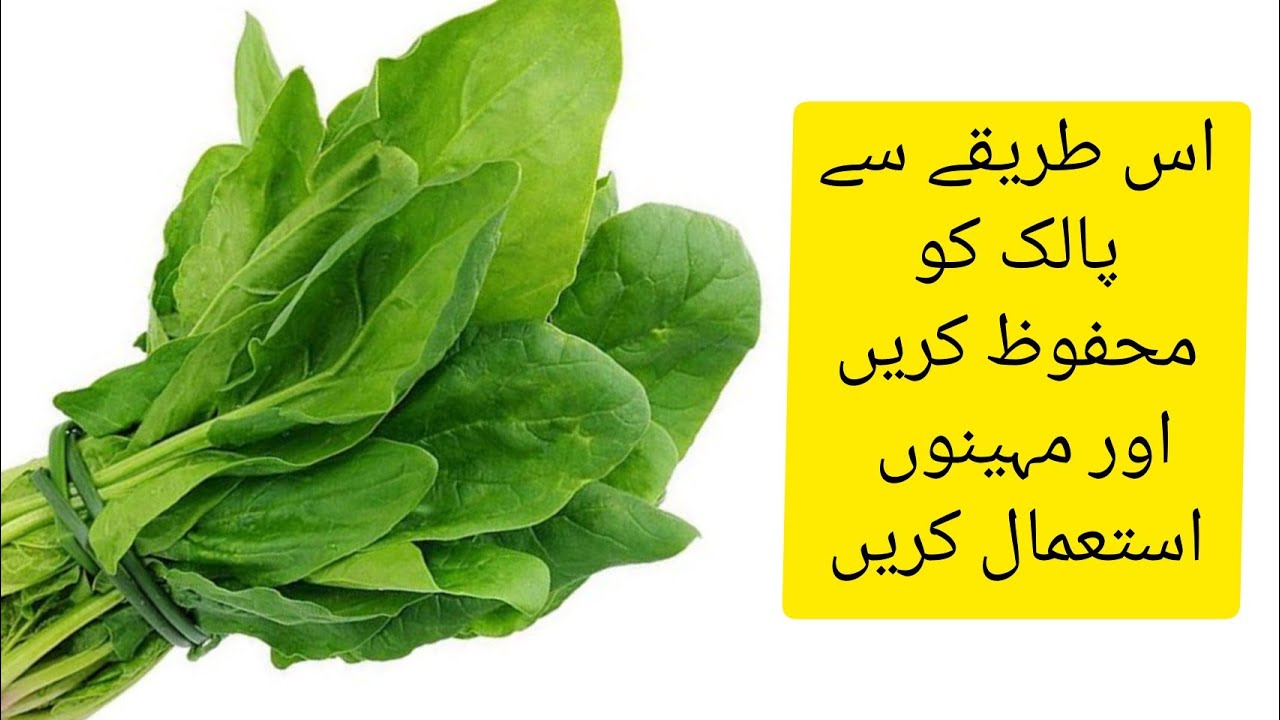how to store spinach for longer