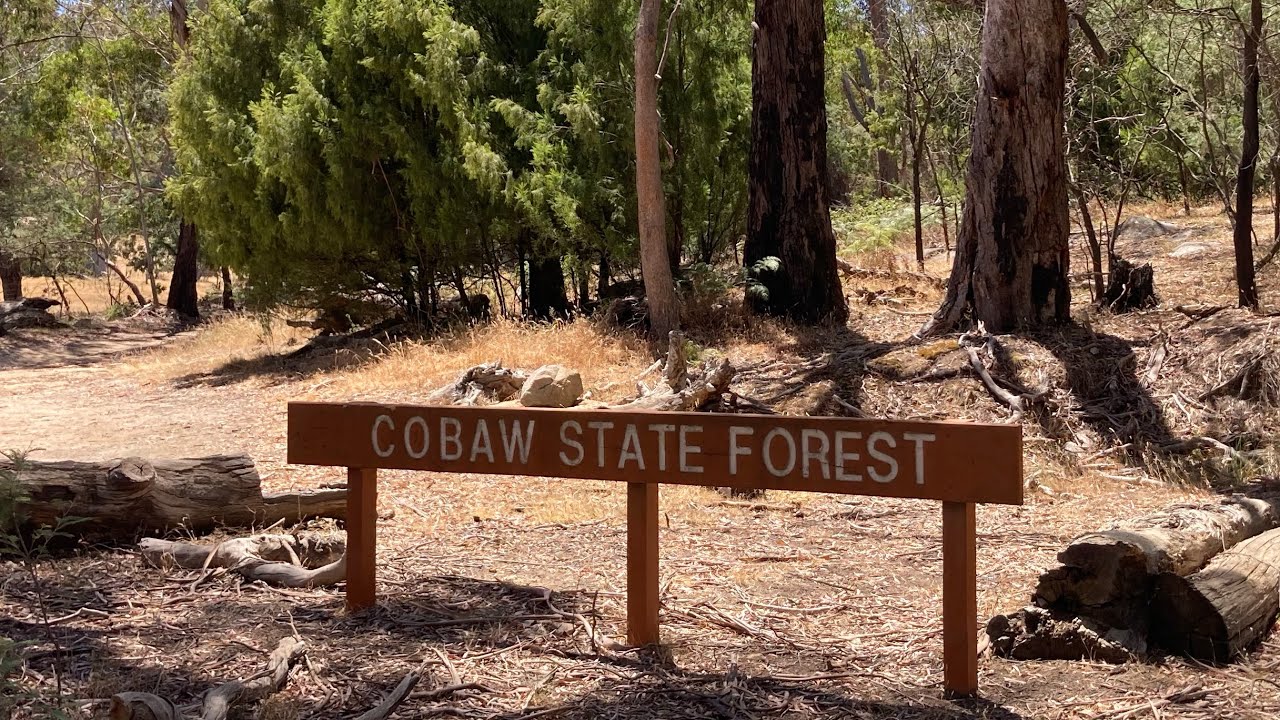 Roughest 4x4 Extreme track Alcorns in COBAW Australia dbl Diamond 