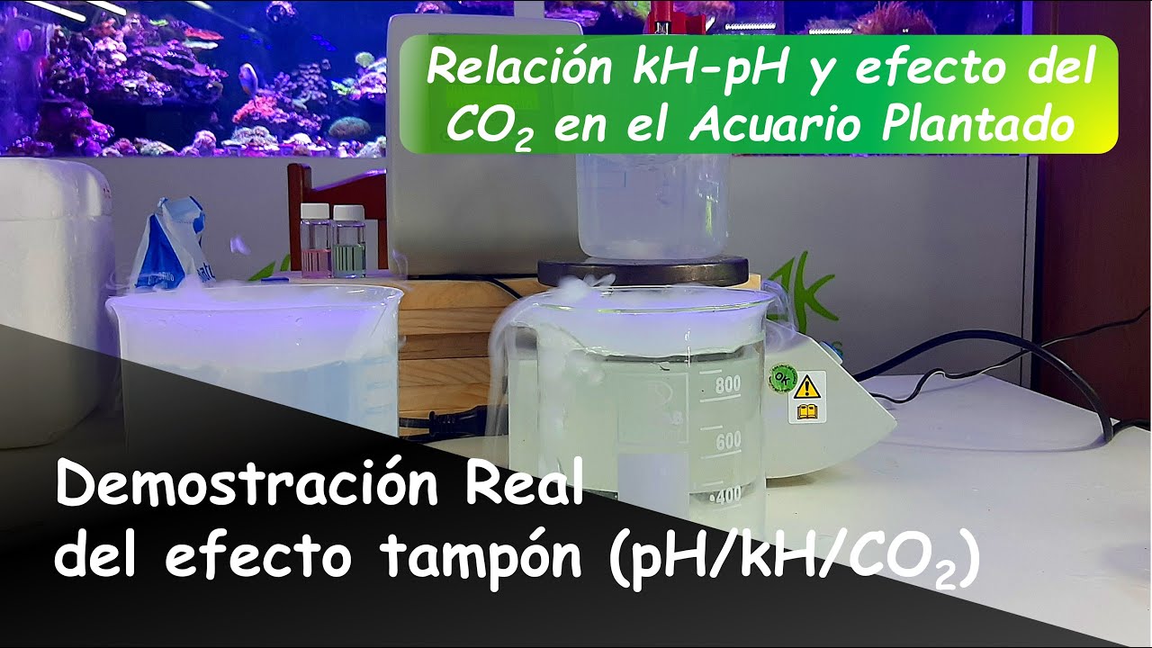El Efecto TAMPÓN en el ACUARIO PLANTADO: Demostración real de la Relación entre kH/pH/CO2 del AGUA