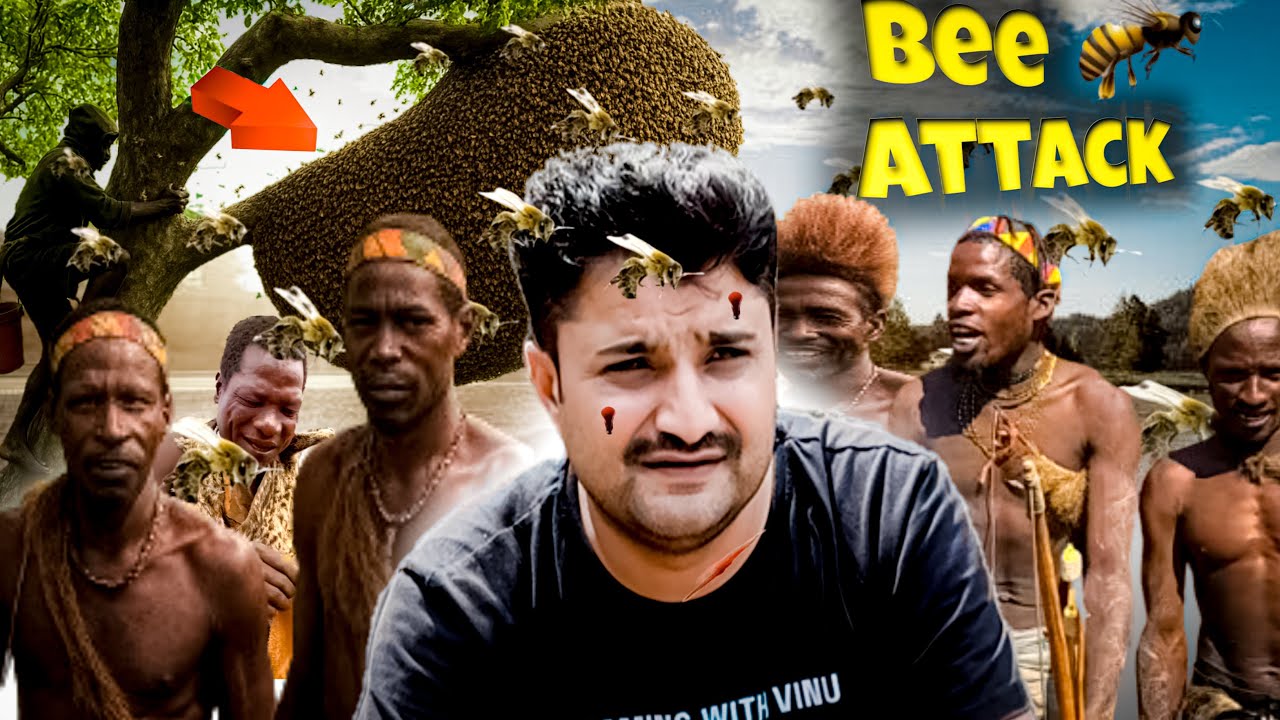 “हड़जाबे हंटर के साथ जंगल में शहद और शिकार का रोमांच!” #wildlife 