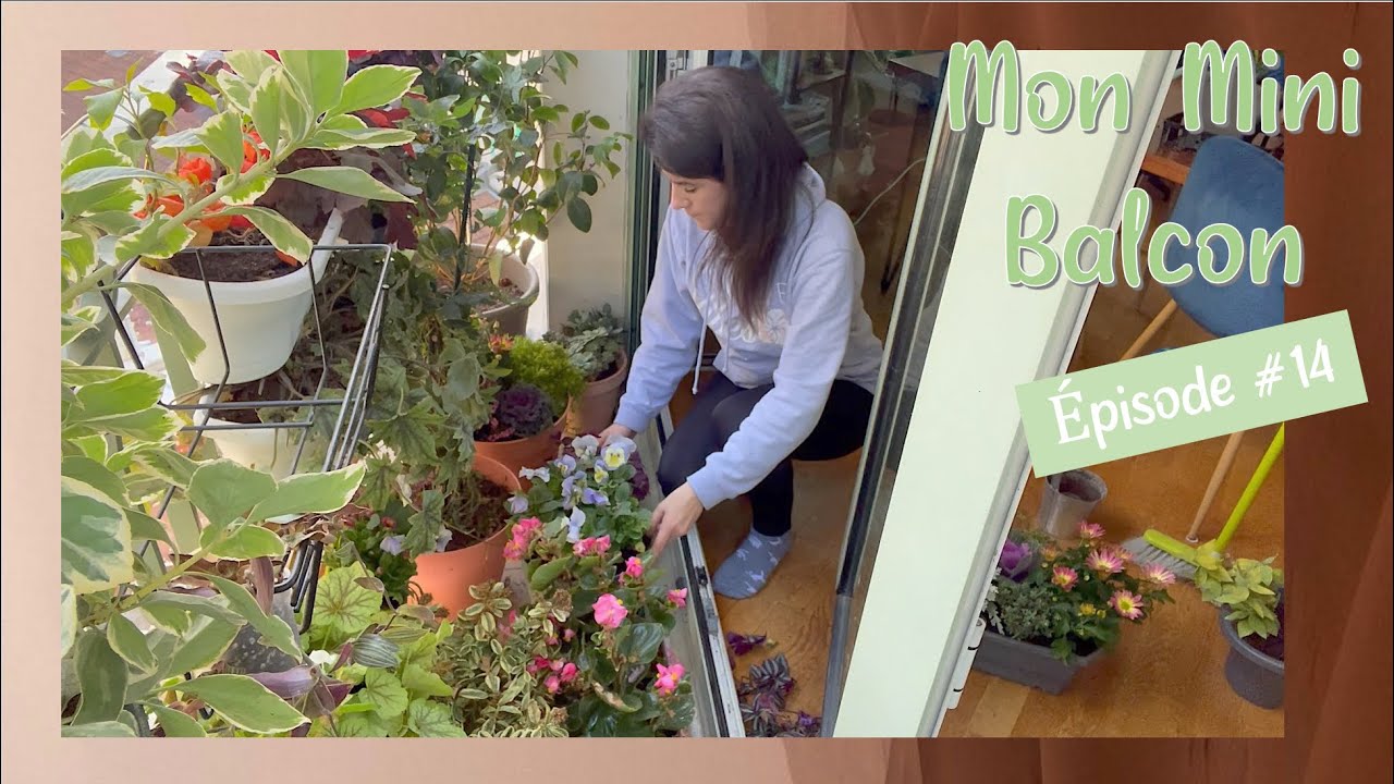 Compos d'Automne pour les Jardinières du Balcon #14