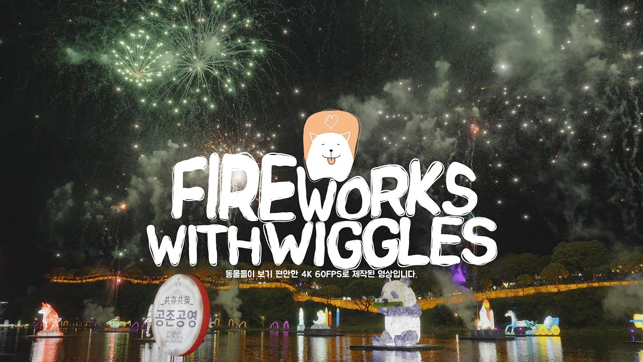 댕무비 | Fireworks with Wiggles | 강아지 힐링