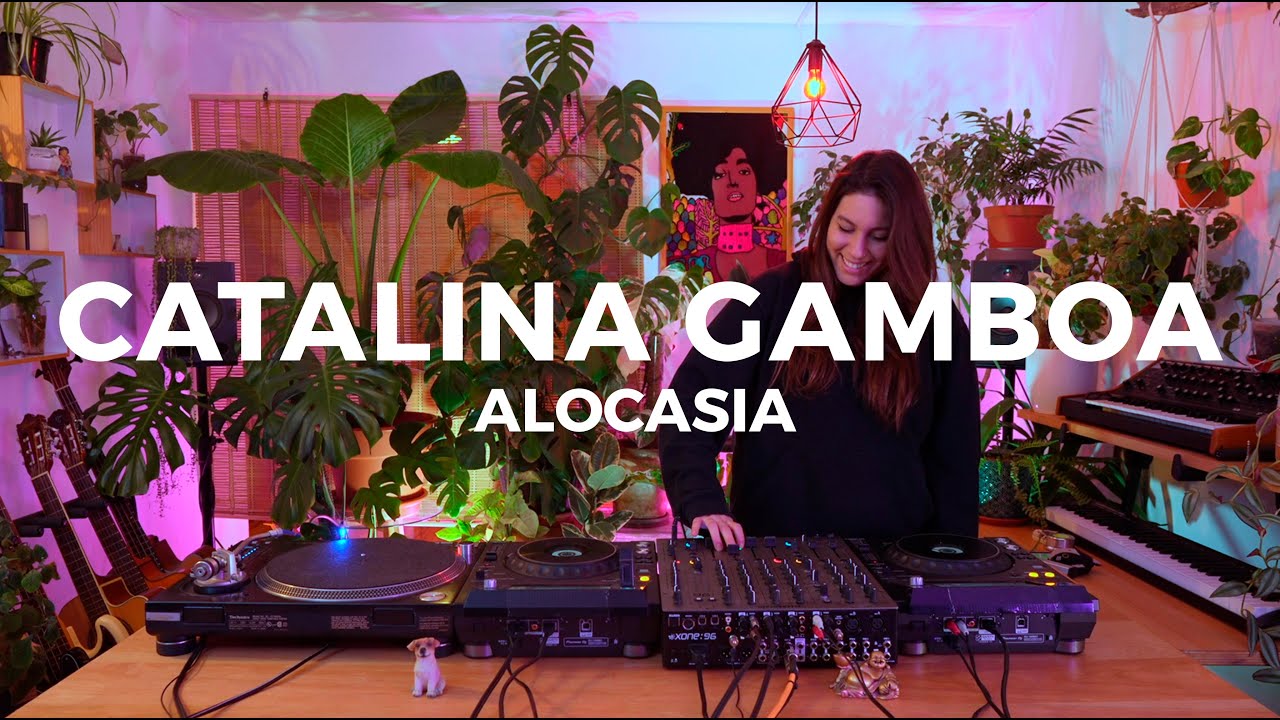 Alocasia TV Santiago - Catalina Gamboa [Dj Set] #house #minimal