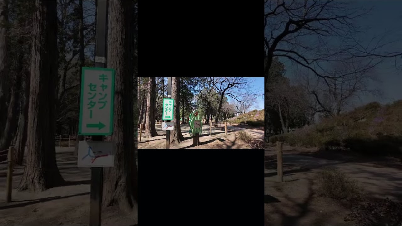 まだ早かった。桜をみるのには？　　　　　　　　ネーブルパークにて（茨城県）
