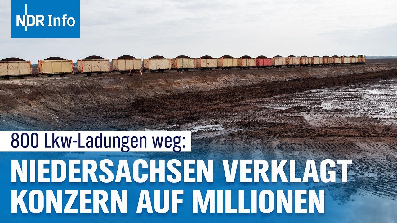 Torfabbau in Niedersachsen: Land verklagt Konzern - 4,5 Mio Euro Schadensersatz verlangt | NDR Info