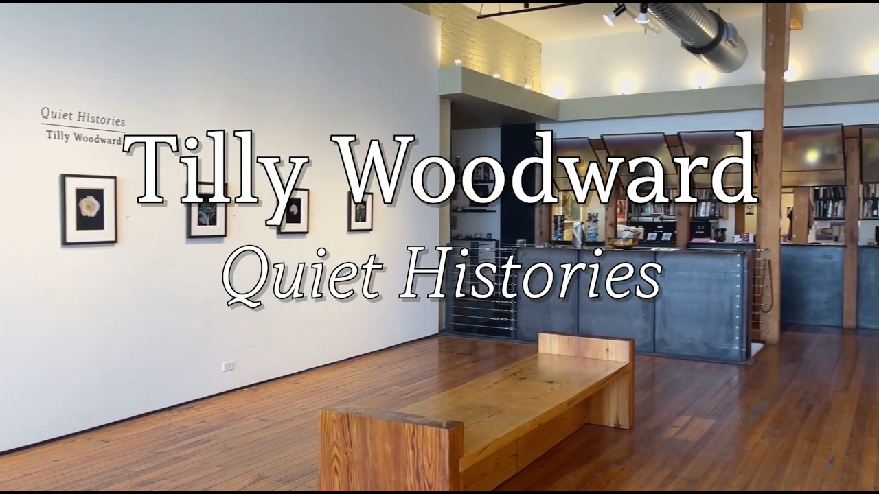 Tilly Woodward Quiet Histories Exhibition Walkthrough