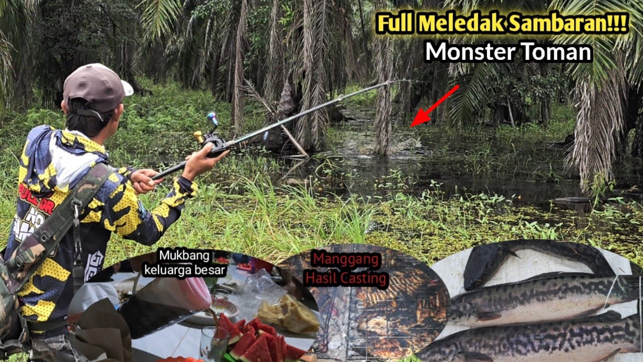 Full Meledak!!! Bagai Bertemu Kolam Toman di kebon Banjir