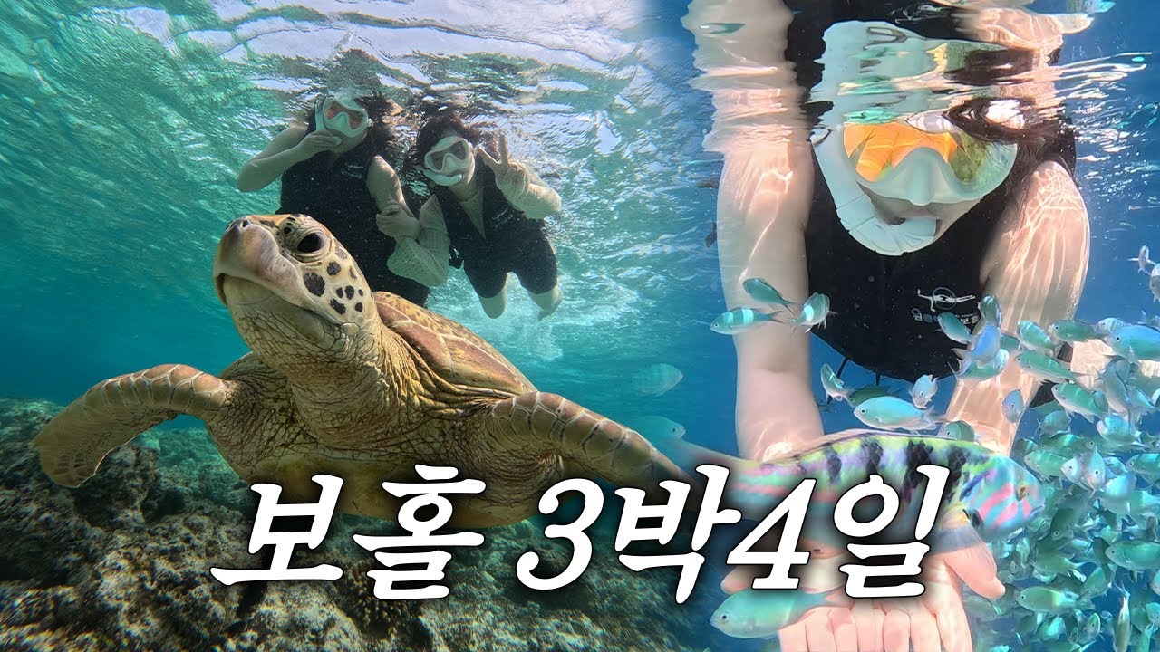 130만원으로 필리핀 보홀 여행[1편] ✨ 스노쿨링+스쿠터 드라이브까지 알차게!