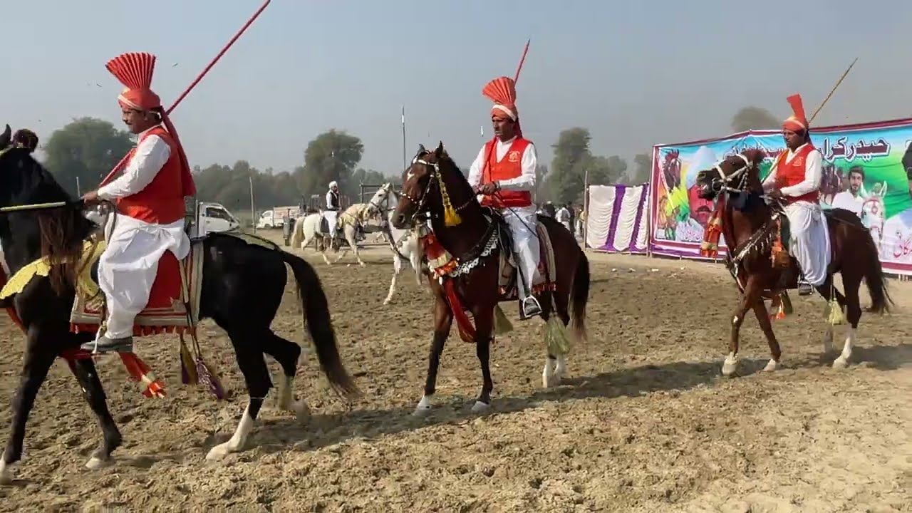 Horse 🐎 tent Pegging گھوڑوں کی نیزہ بازی کا مقابلہghoroun ki naza bazi ka moqubla