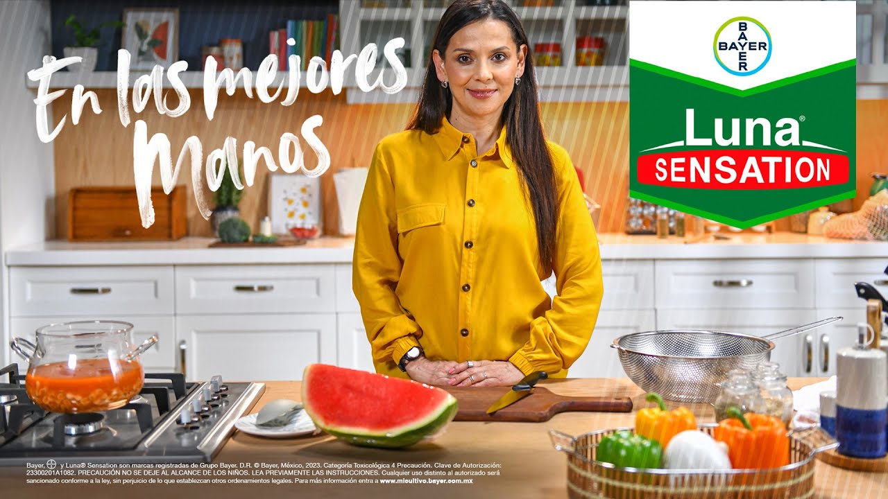 Alimentación Saludable y Sostenible: Consejos para una Nutrición Familiar Óptima