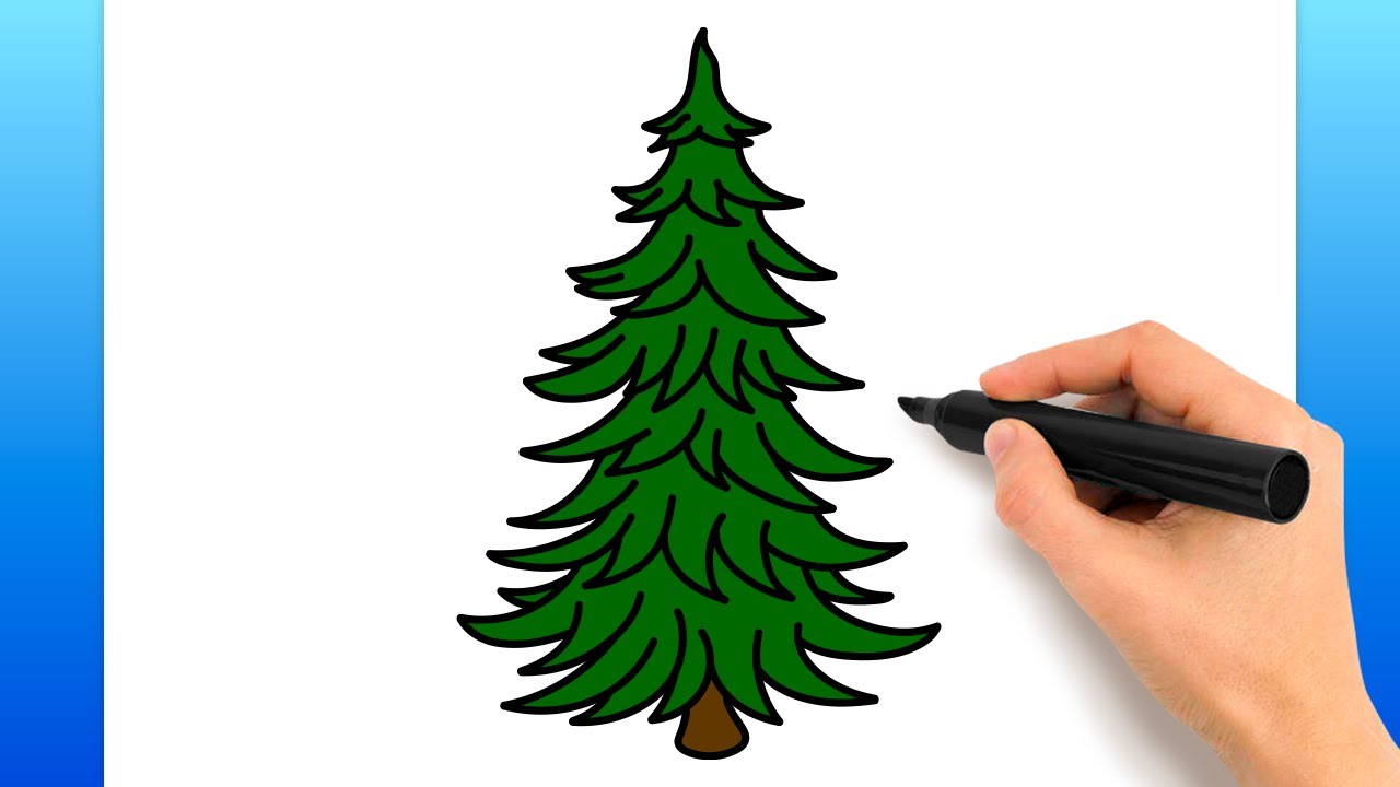 How To Draw A Fir Tree (Easy Drawing Tutorial)