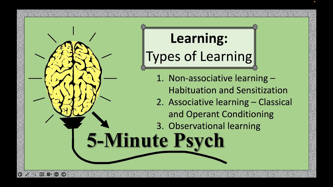Learning: Types of Learning