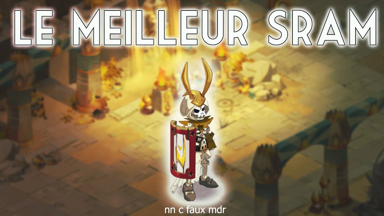 LE MEILLEUR SRAM DE DOFUS (nn)