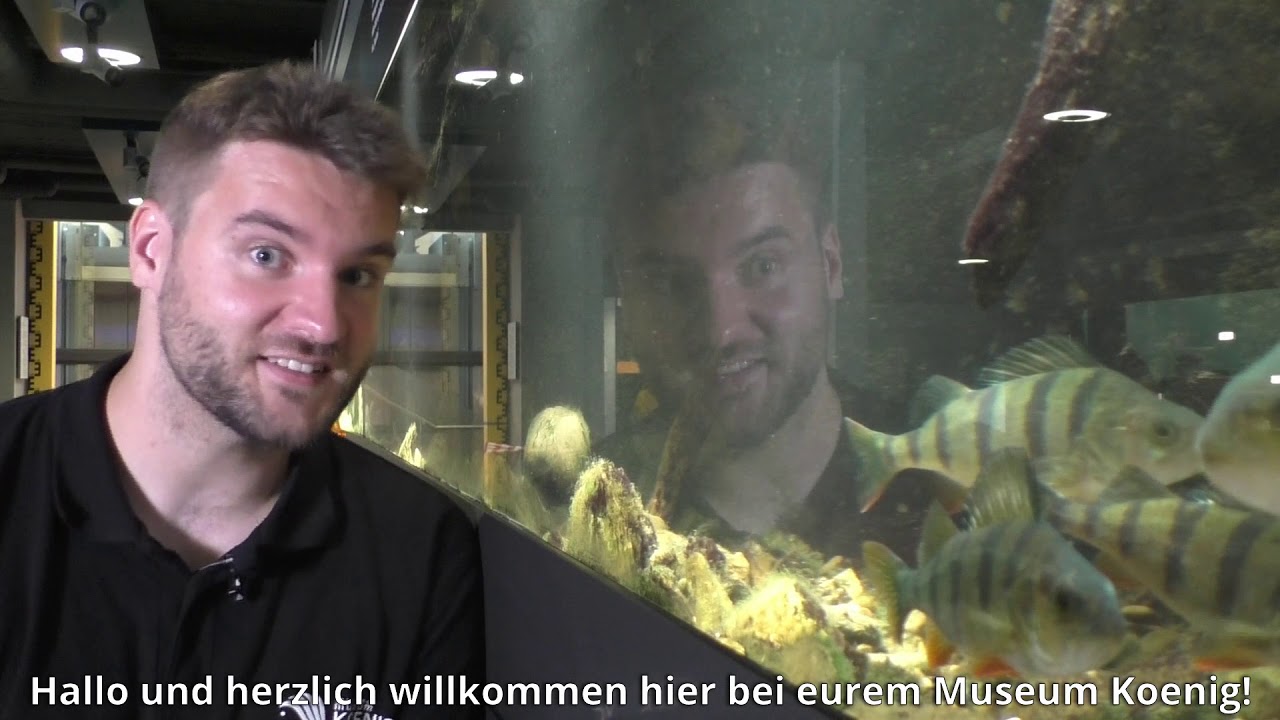 #museumkoenigzuhause Outtakes